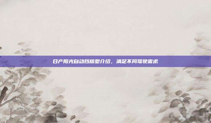 日产阳光自动挡版型介绍，满足不同驾驶需求