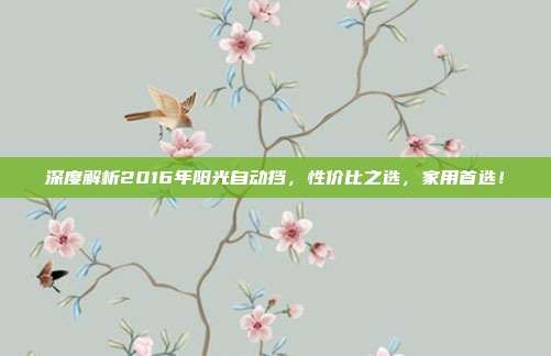 深度解析2016年阳光自动挡，性价比之选，家用首选！