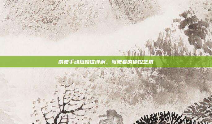 威驰手动挡档位详解，驾驶者的操控艺术