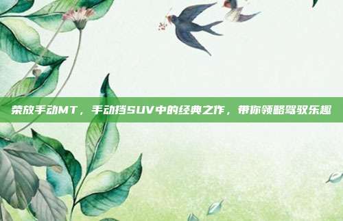 荣放手动MT，手动挡SUV中的经典之作，带你领略驾驭乐趣