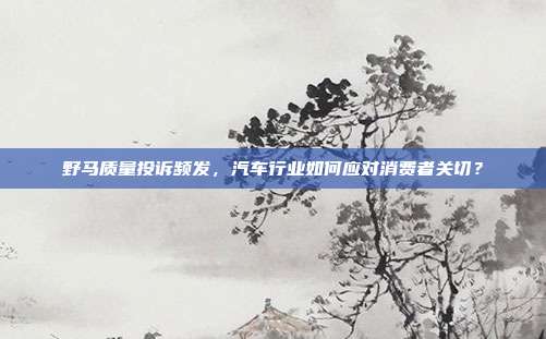 野马质量投诉频发，汽车行业如何应对消费者关切？