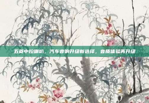 五菱中控喇叭，汽车音响升级新选择，音质体验再升级