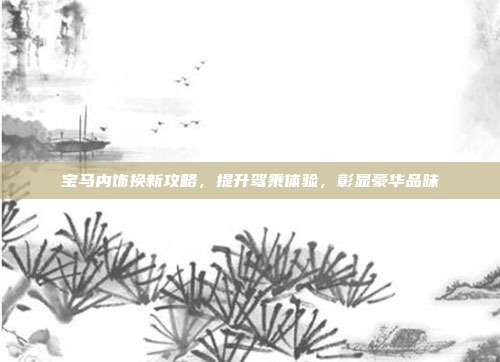 宝马内饰换新攻略，提升驾乘体验，彰显豪华品味