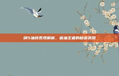 纳5油耗表现解析，省油王者的秘密武器