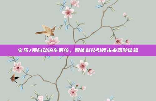 宝马7系自动泊车系统，智能科技引领未来驾驶体验