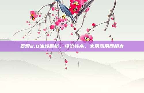 菱智2.0油耗解析，经济性高，家用商用两相宜