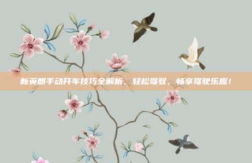 新英朗手动开车技巧全解析，轻松驾驭，畅享驾驶乐趣！