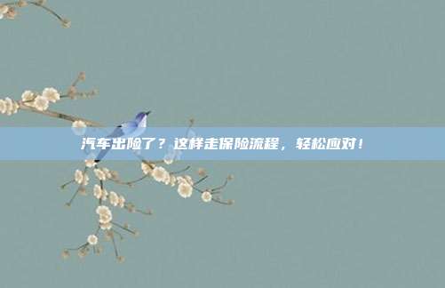 汽车出险了？这样走保险流程，轻松应对！