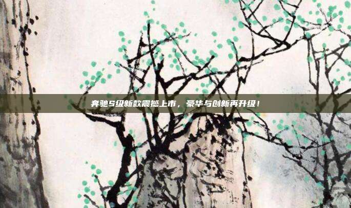 奔驰S级新款震撼上市，豪华与创新再升级！