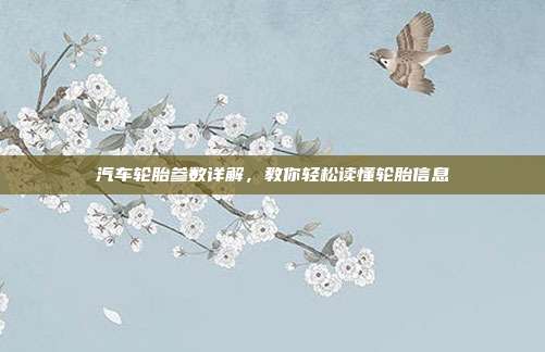 汽车轮胎参数详解，教你轻松读懂轮胎信息