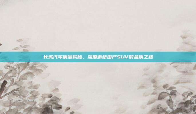 长城汽车质量揭秘，深度解析国产SUV的品质之路