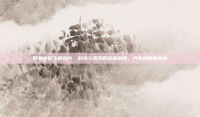 野马中控飞机拨片，科技与美学的完美融合，汽车内饰新风尚