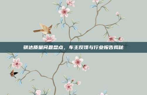 骐达质量问题盘点，车主反馈与行业报告揭秘