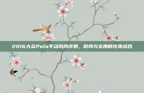 2016大众Polo手动风尚评测，时尚与实用的完美结合