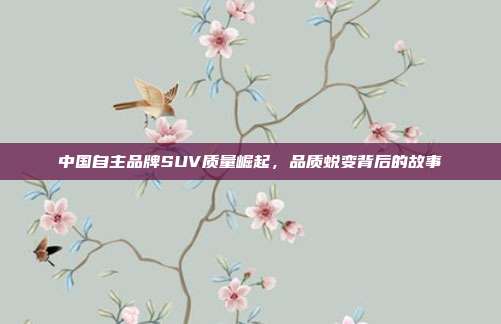 中国自主品牌SUV质量崛起，品质蜕变背后的故事