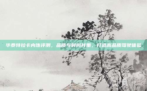 华泰特拉卡内饰评测，品质与时尚并重，打造高品质驾驶体验