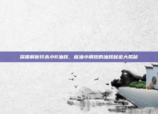 深度解析铃木小R油耗，省油小钢炮的油耗秘密大揭秘