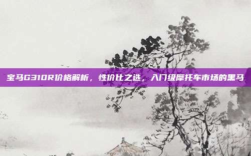宝马G310R价格解析，性价比之选，入门级摩托车市场的黑马