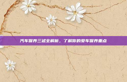 汽车保养三滤全解析，了解你的爱车保养重点