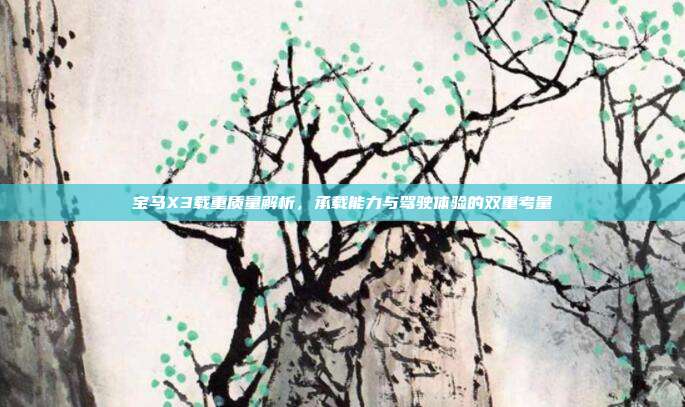 宝马X3载重质量解析，承载能力与驾驶体验的双重考量