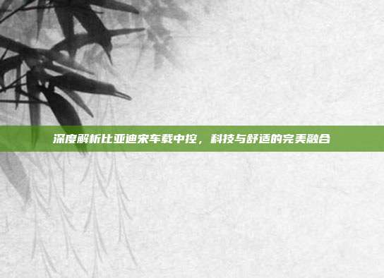 深度解析比亚迪宋车载中控，科技与舒适的完美融合