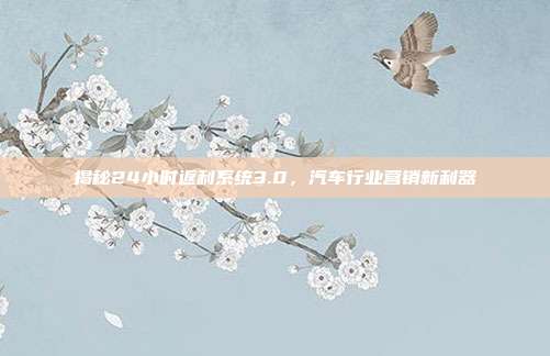 揭秘24小时返利系统3.0，汽车行业营销新利器