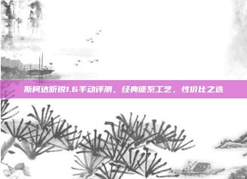 斯柯达昕锐1.6手动评测，经典德系工艺，性价比之选