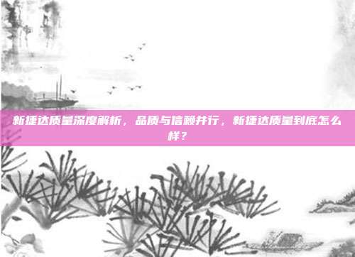 新捷达质量深度解析，品质与信赖并行，新捷达质量到底怎么样？
