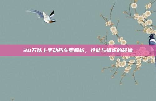 30万以上手动挡车型解析，性能与情怀的碰撞