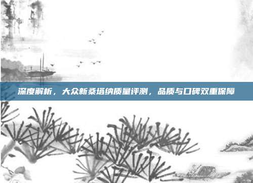深度解析，大众新桑塔纳质量评测，品质与口碑双重保障