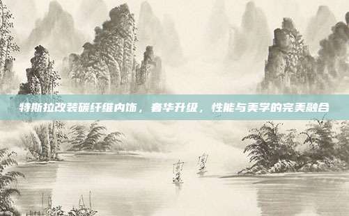 特斯拉改装碳纤维内饰，奢华升级，性能与美学的完美融合