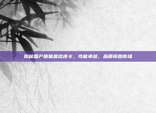 揭秘国产质量最佳皮卡，性能卓越，品质领跑市场