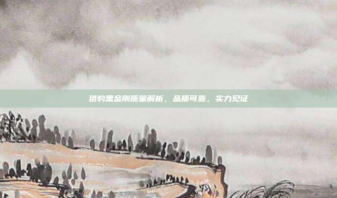 猎豹黑金刚质量解析，品质可靠，实力见证