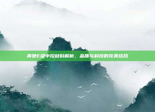 奔驰E级中控材料解析，品质与科技的完美结合