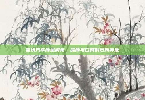 宝沃汽车质量解析，品质与口碑的双向奔赴