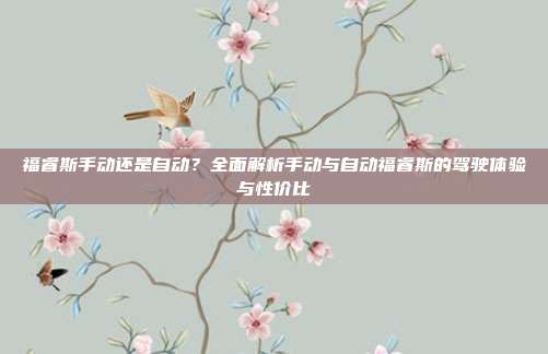 福睿斯手动还是自动？全面解析手动与自动福睿斯的驾驶体验与性价比