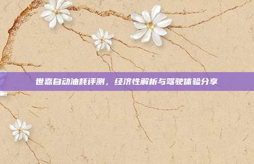 世嘉自动油耗评测，经济性解析与驾驶体验分享