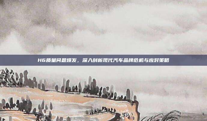 H6质量问题爆发，深入剖析现代汽车品牌危机与应对策略