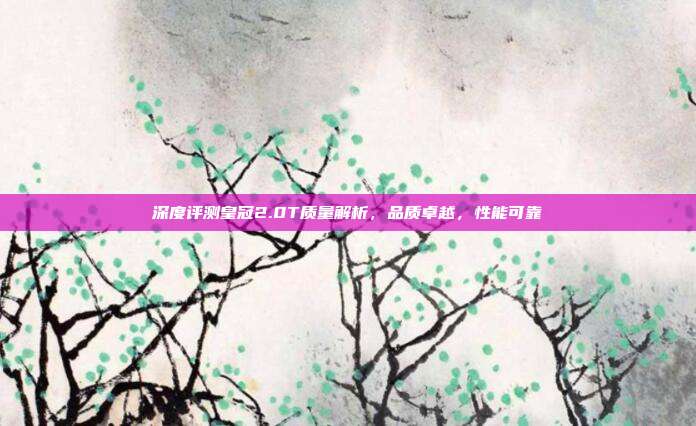 深度评测皇冠2.0T质量解析，品质卓越，性能可靠