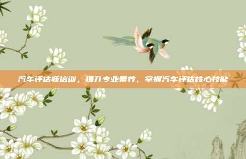汽车评估师培训，提升专业素养，掌握汽车评估核心技能