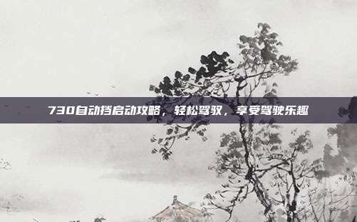 730自动挡启动攻略，轻松驾驭，享受驾驶乐趣