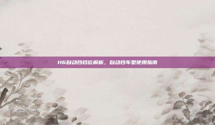 H6自动挡档位解析，自动挡车型使用指南