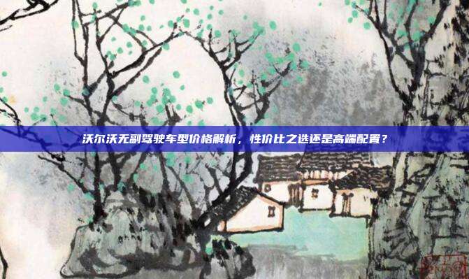 沃尔沃无副驾驶车型价格解析，性价比之选还是高端配置？