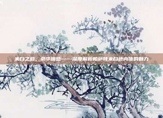 米白之韵，豪华质感——深度解析帕萨特米白色内饰的魅力