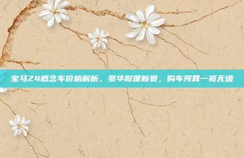 宝马Z4概念车价格解析，豪华敞篷新贵，购车预算一览无遗