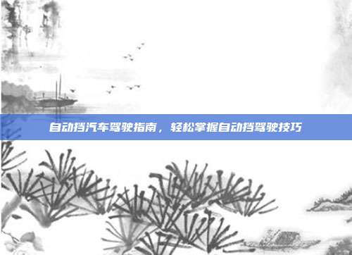 自动挡汽车驾驶指南，轻松掌握自动挡驾驶技巧