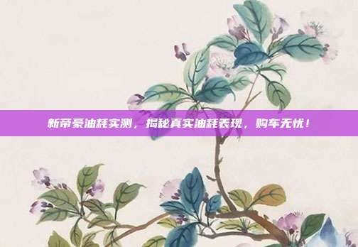 新帝豪油耗实测，揭秘真实油耗表现，购车无忧！