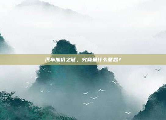 汽车加价之谜，究竟是什么意思？