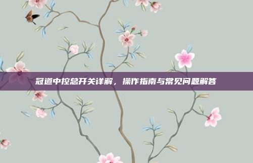 冠道中控总开关详解，操作指南与常见问题解答