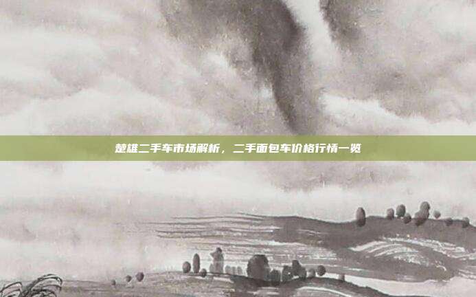 楚雄二手车市场解析，二手面包车价格行情一览